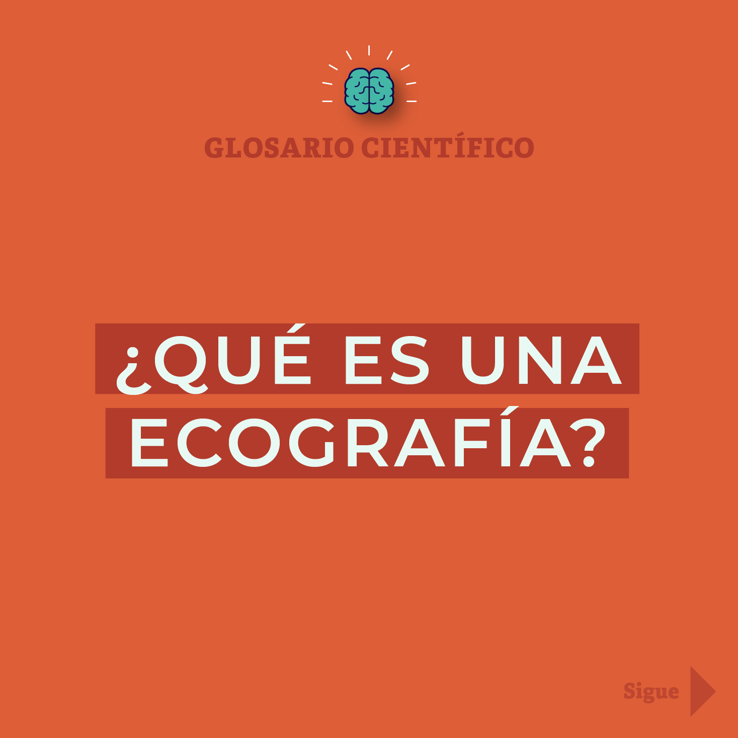 ¿Qué es una ecografía?