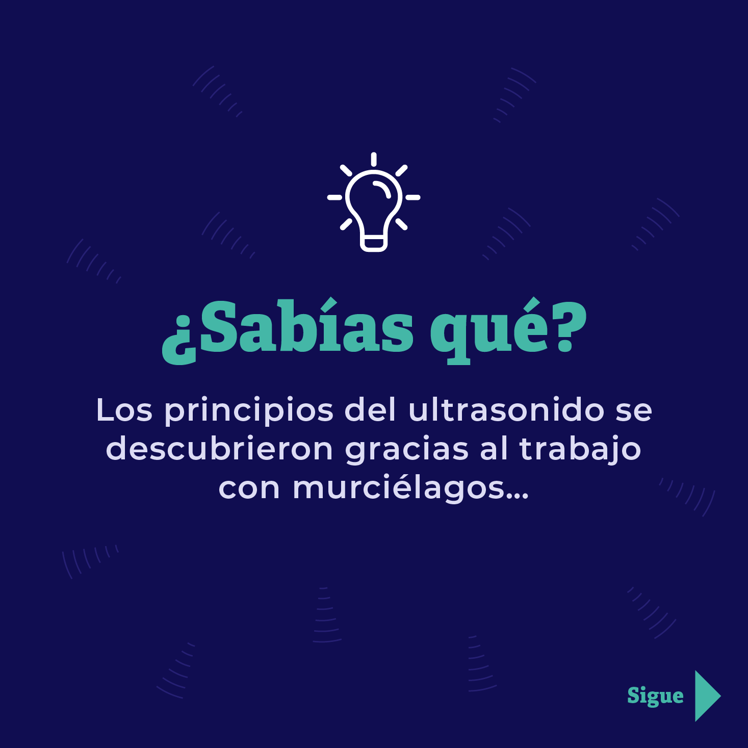 Los principios del ultrasonido se descubrieron gracias al trabajo con murciélagos...